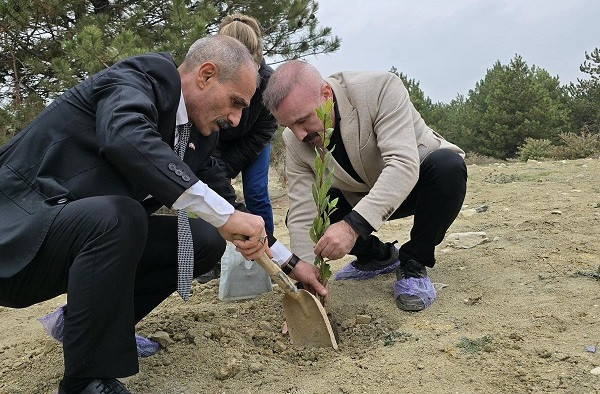 Başkan Söğütçü ve Yönetiminden ‘’Biz Kardeşiz Ağaçlandırma Projesi’’ 